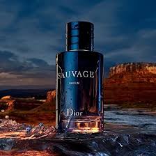Dior Sauvage Perfume | 100ml Bottle